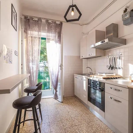 Apartment Windrose The Cat