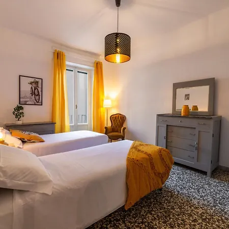 Apartment Windrose The Cat