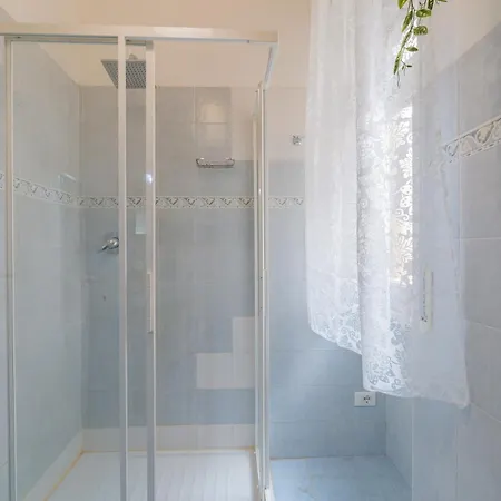 Windrose The Cat Apartment Pisa