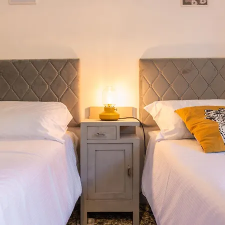 Windrose The Cat Pisa