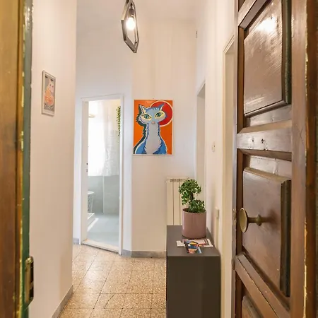 Windrose The Cat Appartement *