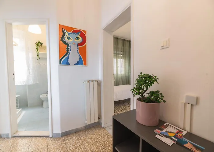 Windrose The Cat Pisa